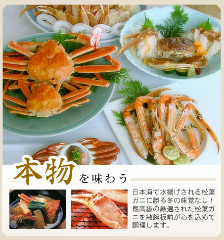 本物を味わう　日本海で水揚げされる松葉ガニに勝る冬の味覚なし！最高級の厳選された松葉ガニを敏腕板前が心を込めて調理します。