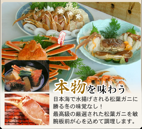 本物を味わう　日本海で水揚げされる松葉ガニに勝る冬の味覚なし！最高級の厳選された松葉ガニを敏腕板前が心を込めて調理します。